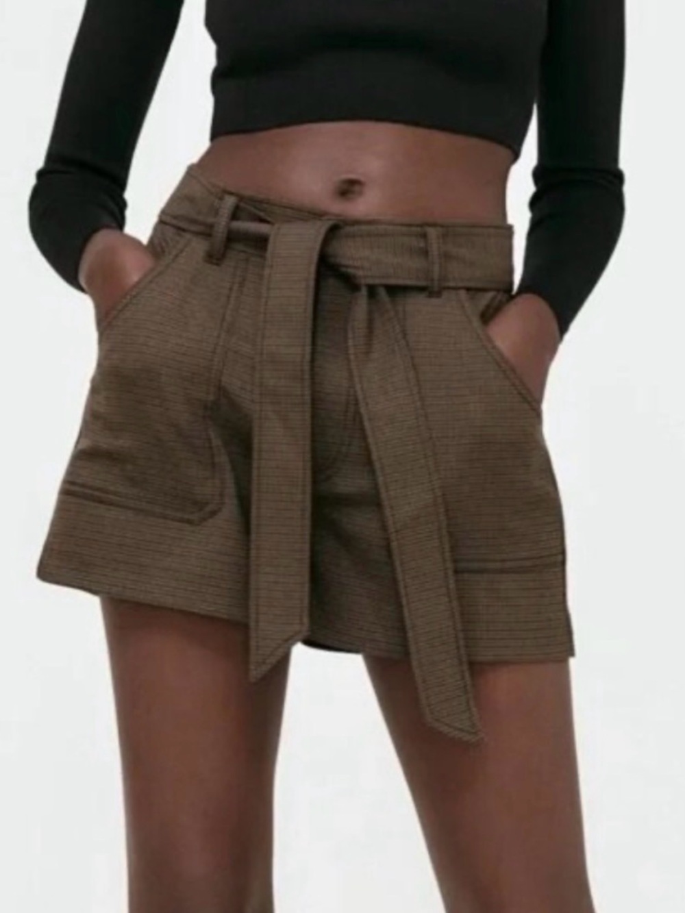 Zara Brown Plaid Shorts with Tie Belt (LARGE)